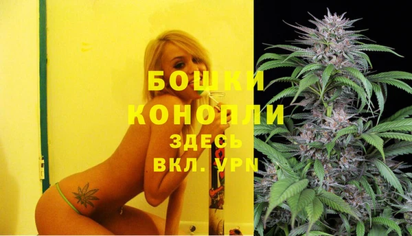 ешки Горно-Алтайск