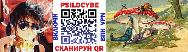 ОМГ ОМГ вход  Далматово  Псилоцибиновые грибы Psilocybe  как найти  